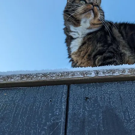 Le Roitelet - D'hotes Privative Гостевой дом