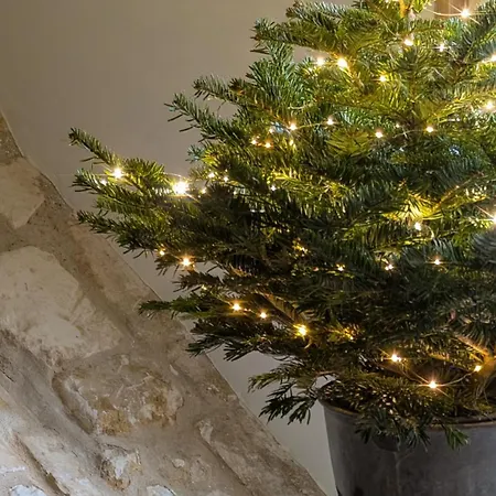 Le Roitelet - D'hotes Privative Гостевой дом Montcavrel