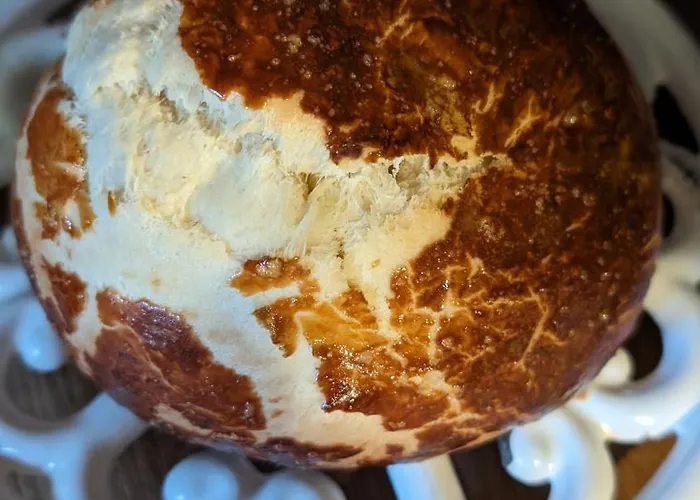 Le Roitelet - D'hôtes Privative Maison d'hôtes Montcavrel