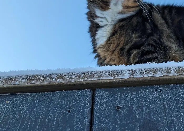 Le Roitelet - D'hôtes Privative Maison d'hôtes